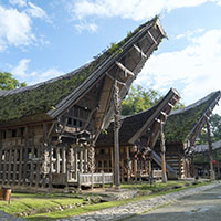 Sulawesi