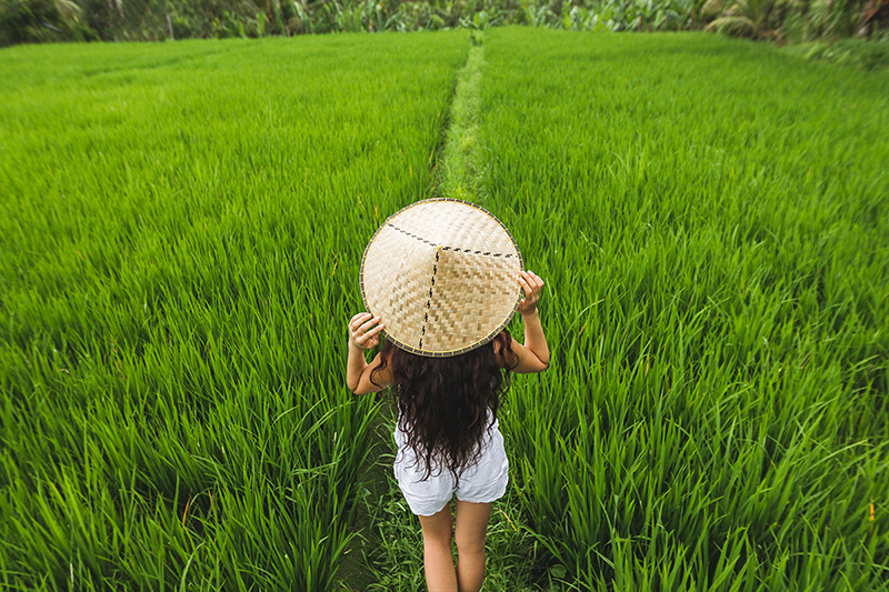 Traveler enjoying Jatiluwih rice terrace in Bali