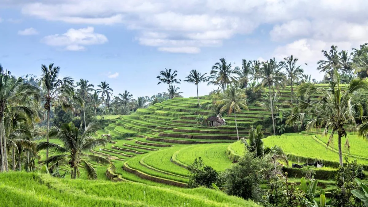 Bali destination hero image
