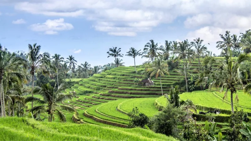 Bali destination in Indonesia