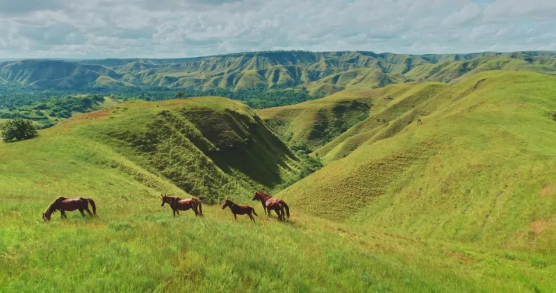 Sumba destination in Indonesia