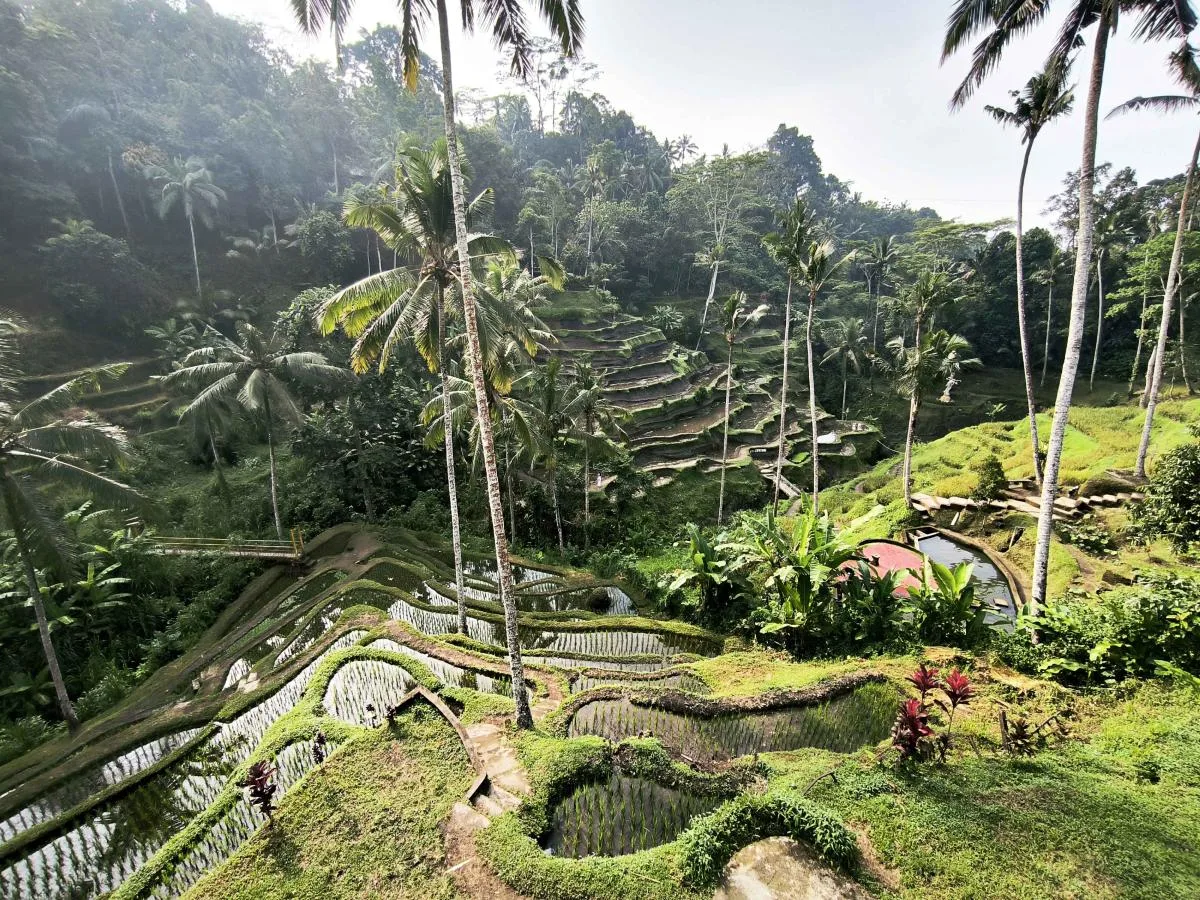 5D/4N Central Bali: Nature & Adventure