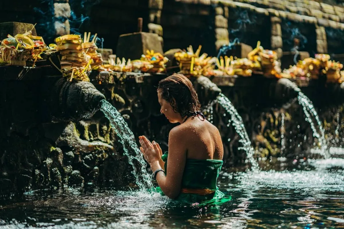 Ubud Highlight Full-Day Tour