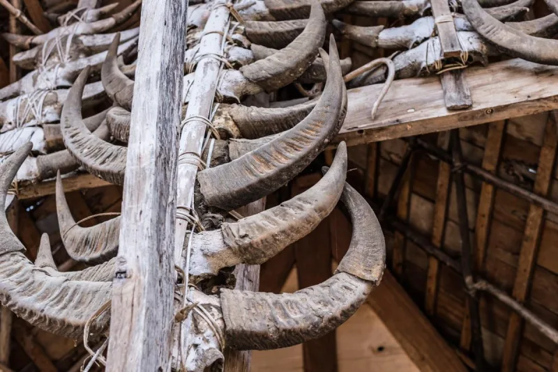 4D/3N Toraja: Unveiling the Ancient Heritage gallery photo 3
