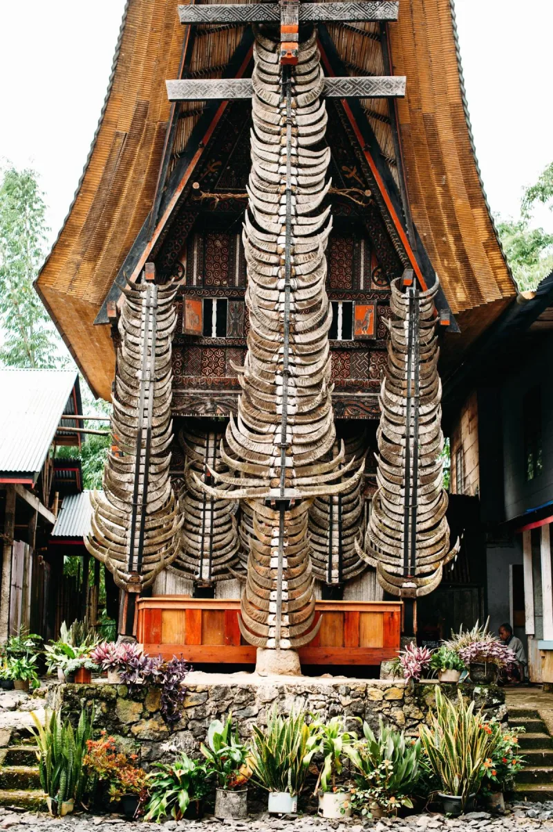 4D/3N Toraja: Unveiling the Ancient Heritage gallery photo 2