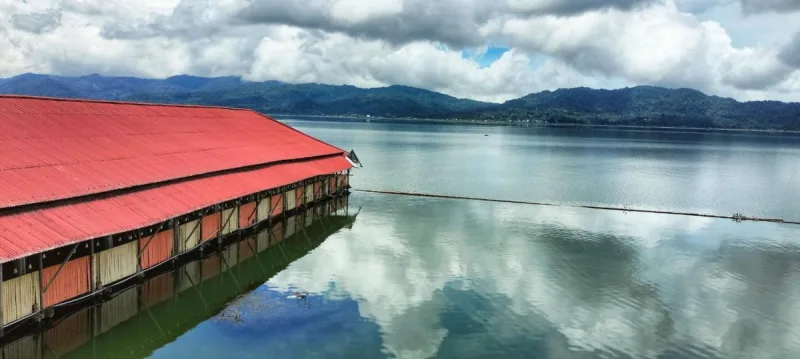 4D/3N Wild North Sulawesi gallery photo 2