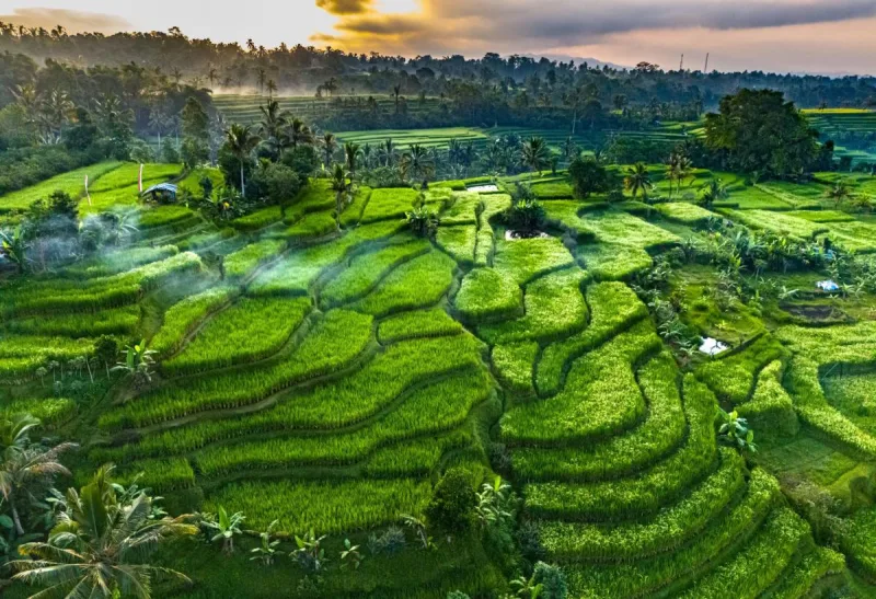 5D/4N North-West Bali: Wild Nature and Heritage gallery photo 2