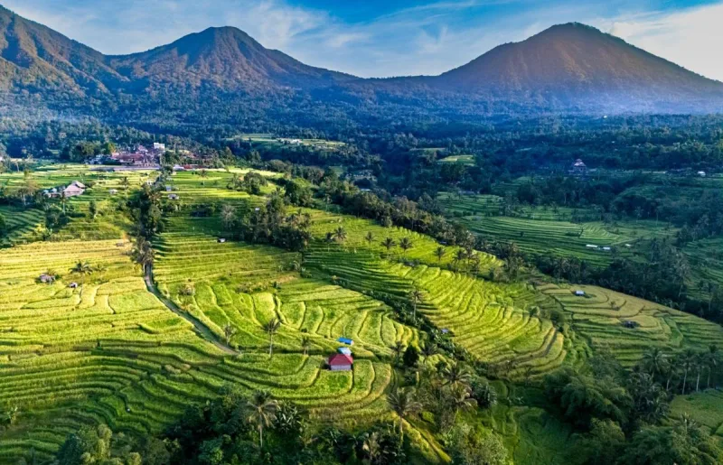 5D/4N North-West Bali: Wild Nature and Heritage gallery photo 3