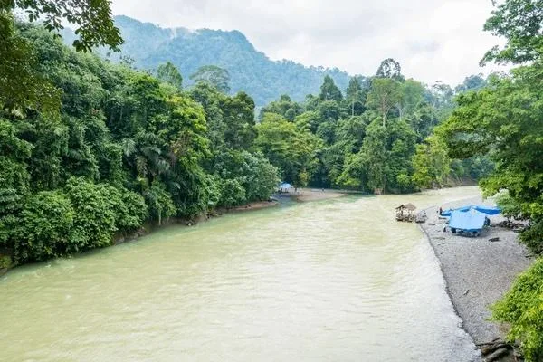 6D/5N North Sumatra Tour gallery photo 4