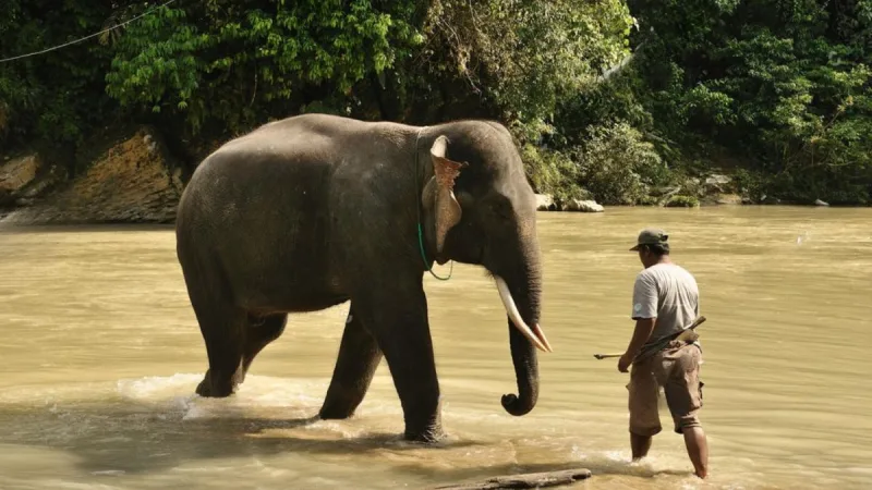6D/5N North Sumatra Tour tour package