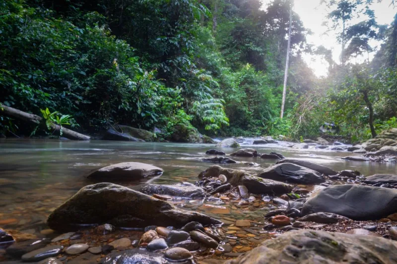 6D/5N North Sumatra Tour gallery photo 3