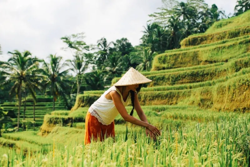 Ubud Highlight Full-Day Tour gallery photo 4
