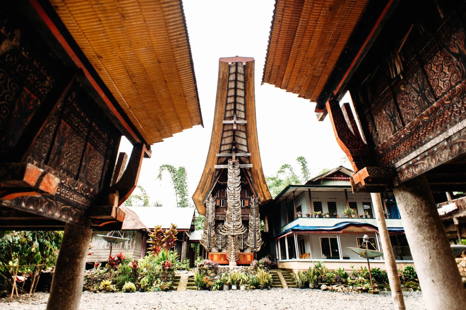 Tongkonan: The Iconic Houses of Tana Toraja